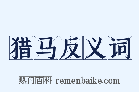 猎马反义词是什么意思的图片
